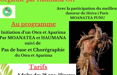 stage de danse tahitienne