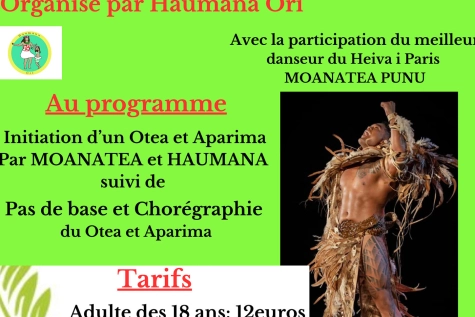 stage de danse tahitienne